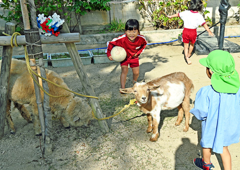 なかよし動物園 写真01